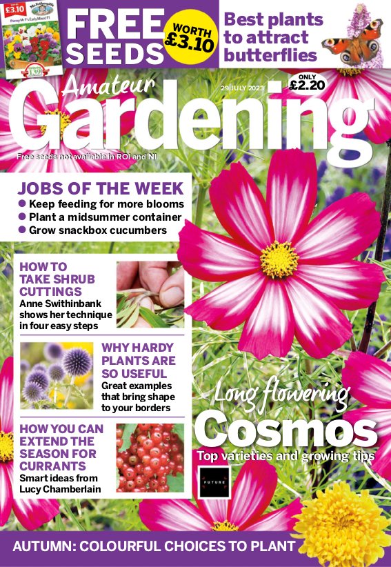 Amateur Gardening - July 2023